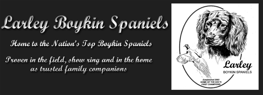 full_logo_text_image