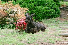 2753WHS-20100502-Knudson-Edit-2-11.jpg