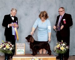 2_ASC2010.jpg